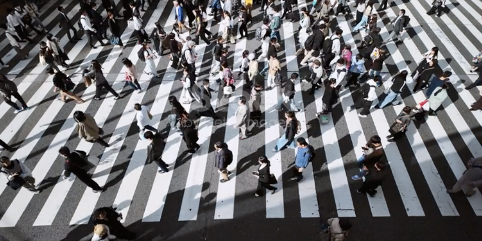 Screenshot 2025-12-31 at 15.47.56